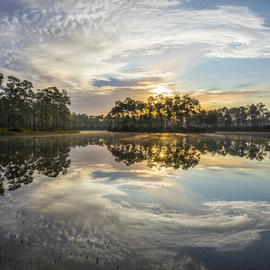 Everglades Ovation By Jon Glaser
