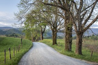 Jon Glaser: 'Trees on a Path', 2016 Color Photograph, Landscape.  This photograph was taken in Cades Cove located in the Smoky Mountains. It borders Tennessee and North Carolina and are part of the Appalachian Mountains. The fog that hangs of the region is caused by the trees and plants that give off organic compounds with a high vapor pressure.This...
