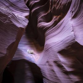 Jon Glaser: 'just the light', 2016 Color Photograph, Landscape. Artist Description: Located in Arizona, this slot canyon was a spectacular change from the normal one you see in Antelope Canyon. It was 9 miles west of Page on a private secluded Navajo reservation. ...