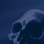 Blue Skull 1 By Jorge Llaca