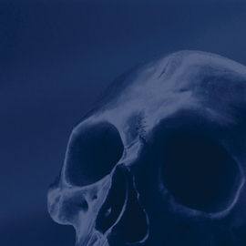 Blue Skull 1, Jorge Llaca