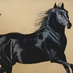 Arabian Stallion By Joshua Goehring