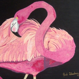 Flamingo By Joshua Goehring