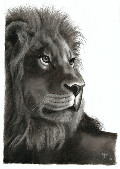 Jessica Fowlds  'King Of The Jungle', created in 2018, Original Drawing Charcoal.