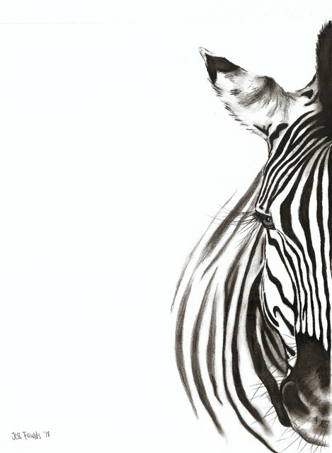 Jessica Fowlds  'Zebra', created in 2018, Original Drawing Charcoal.