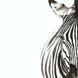 Jessica Fowlds: 'zebra', 2018 Charcoal Drawing, Wildlife. Artist Description: Modern print of a Zebra charcoal drawing ...