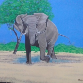 Phillip Matthews: 'charging', 2023 Acrylic Painting, Wildlife. Artist Description: Original acrylic painting of canvas of an African elephant charging. ...