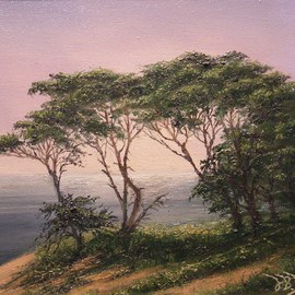 Pacific Grove By Joseph Porus