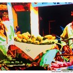 Fruit Seller By Jayesh Sachdev