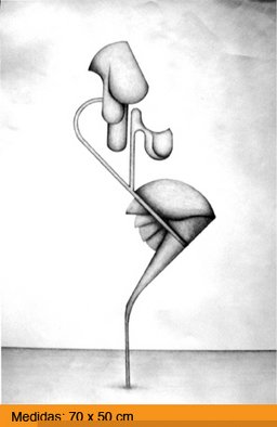 Juan Pablo Cima: 'fecundidad', 2009 Pencil Drawing, Abstract Figurative. 
