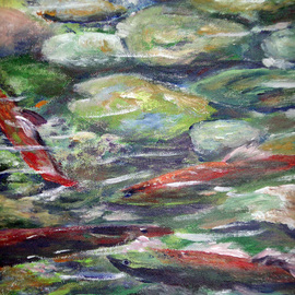 salmon migration on taylor creek By Julie Van Wyk