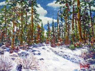 Julie Van Wyk: 'winter rideout trail', 2011 Oil Painting, nature.                behind rideout school, off 89 near tahoe city   this painting is oil on masonite                    ...