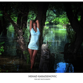 No : 02, Nenad Karadjinovic