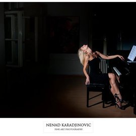 No : 11 By Nenad Karadjinovic