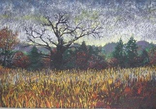 Ken Hillberry: 'October Evening', 2005 Pastel, Landscape.  The medium of pastel worked on board opens a unique working surface and result.  ...