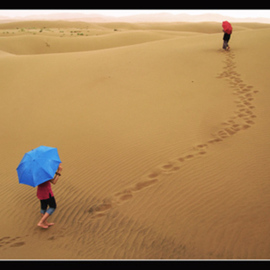 Mir Kian Roshannia: 'Crossing', 2007 Color Photograph, Travel. Artist Description:  Crossing on Desert ...