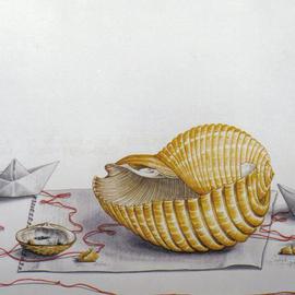 My Agean sea shell By Thomai Kontou