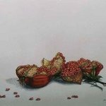  pomegranate By Thomai Kontou