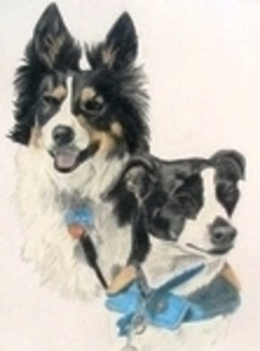 Diane Kopczeski: 'Bliss  Blackjack', 2008 Pencil Drawing, Dogs. Artist Description:  Colored pencil drawing, done from a photo. ...