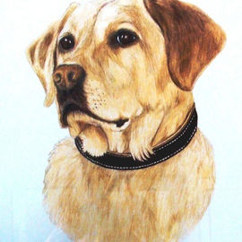 Diane Kopczeski: 'Duke', 2009 Pencil Drawing, Dogs. Artist Description:  Colored pencil drawing, done from a photo ...
