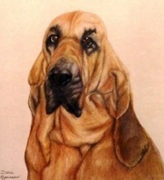 Diane Kopczeski: 'Hannah', 2010 Pencil Drawing, Dogs.     Colored pencil drawing, done from your photo.    ...