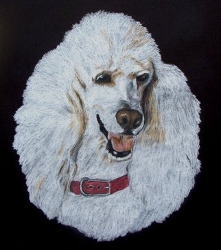 Diane Kopczeski: 'Pierre', 2011 Pencil Drawing, Animals.   Colored pencil drawing, done from your photo.  ...