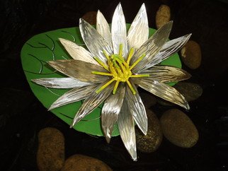 Ivan Kosta: 'July Water Lilly', 2010 Steel Sculpture, Floral.  An image of a stainless steel/ powder coated steel water lilly on its green leaf. . ...