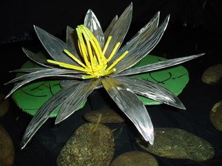 Ivan Kosta: 'July Water Lilly', 2010 Steel Sculpture, Abstract.  A stainless steel water lilly - side view    ...