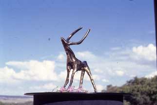 Ivan Kosta: 'My First Antlers', 2001 Bronze Sculpture, undecided.  A young moose ...