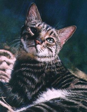 Kay Ridge: 'Trust', 2000 Giclee, Animals.   The combination of the innocent gaze, the eye sparkle and the jewel colors contrasting with the light was what I desired to capture in this pastel on paper. Limited Edition signed and numbered by artist. Certificate of Authenticity....