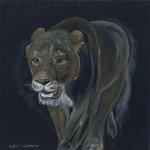 Lion female By Claudia Luethi Alias Abdelghafar