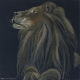Claudia Luethi Alias Abdelghafar: 'Proud lion', 2012 Oil Painting, Animals. Artist Description: Oilpainting on black velvet from a proud lion.  Do you feel the look at you, he is looking, or not He is soooo proud The size of the painting is without frame 60 x 60 x 2 cm and with frame 63 x 63 x 3 cm, the ...