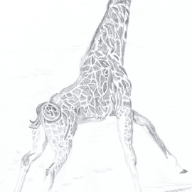 giraffe  By Claudia Luethi Alias Abdelghafar