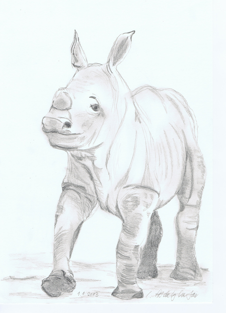 Claudia Luethi Alias Abdelghafar  'Sweet Little Rhino Baby', created in 2013, Original Painting.