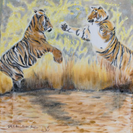 two tigers fighting By Claudia Luethi Alias Abdelghafar