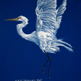 white heron on blue velvet  By Claudia Luethi Alias Abdelghafar