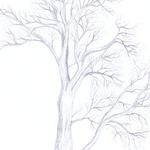 willow tree By Claudia Luethi Alias Abdelghafar