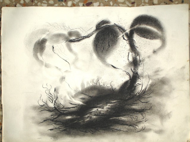 Lalit Pant  'Nature', created in 2008, Original Drawing Charcoal.