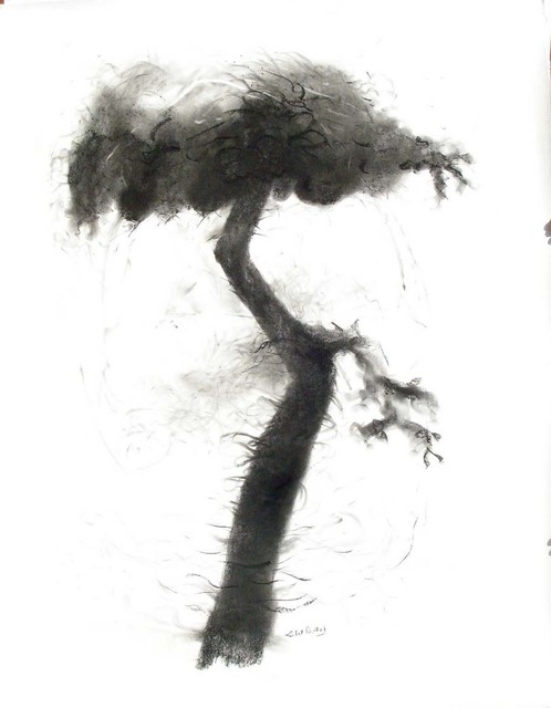 Lalit Pant  'Nature', created in 2008, Original Drawing Charcoal.
