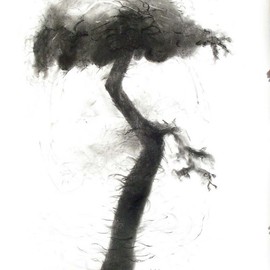 Lalit Pant: 'nature', 2008 Charcoal Drawing, nature. Artist Description:  it's a nature ...