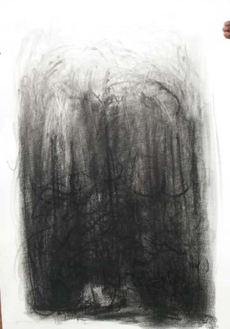 Lalit Pant  'Nature2', created in 2008, Original Drawing Charcoal.