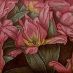 Tulip Rhapsody, Peggy Thomas Cacalano