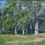 Killian Hill Trees By Larry Clark