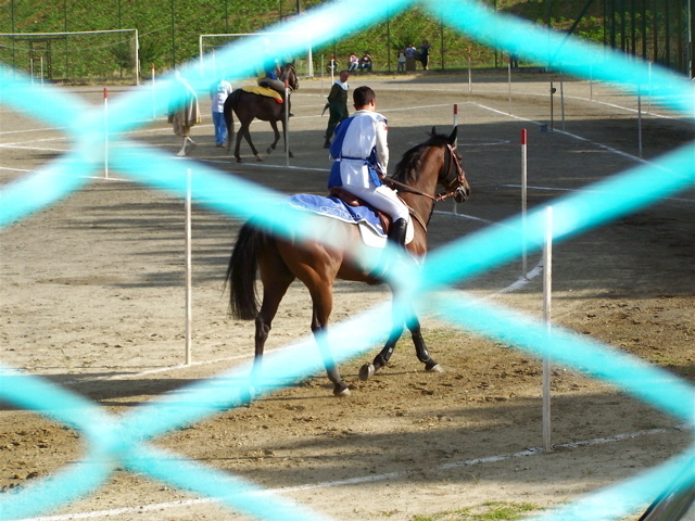 Luise Andersen  'ACQUASPARTA   HORSES  Two', created in 2006, Original Fiber.