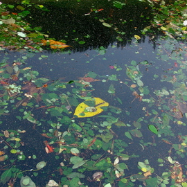 Luise Andersen: 'AUTUMN POOL II', 2007 Color Photograph, Other. Artist Description:  See, what I was inspired by? !  Can you now follow my creative cores delight. . It even inspires me to paint . . . several colors of paint on my brush and off I'll go. . ! !  see the beautiful yellows. . orange. . reds? the wonderful green hues, and sooo many, . . my heart just ...