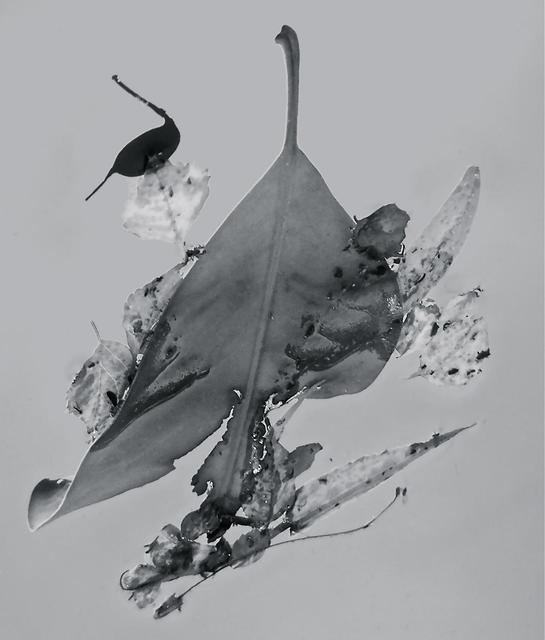 Luise Andersen  'Abstract In Nature ENCHANTMENT AFLOAAT III', created in 2013, Original Fiber.