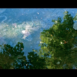 Luise Andersen: 'Between here and Tomorrow II OCTEIGHTOTWLVE', 2012 Color Photograph, nature. Artist Description:    . . REFLECTIONS IN WATER PUDDLE ON BASEBALL COURT AT PARK SEVILLE. . . . series* * size for uploading purpose only   ...