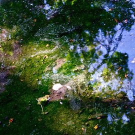 Luise Andersen: 'Between here and Tomorrow I OCTEIGHTOTWLVE', 2012 Color Photograph, nature. Artist Description:      . . REFLECTIONS IN WATER PUDDLE ON BASEBALL COURT AT PARK SEVILLE. . . . series* * size for uploading purpose only     ...