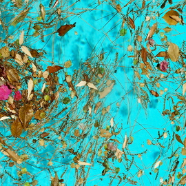 Luise Andersen: 'ENCHANTMENT AFLOAT MIGII', 2012 Color Photograph, nature. Artist Description:  . . have had light winds. . heat. . humidity. . . seasonal blossoms. . leaves. . pine needles. . bugs. . all kinds of creatures. . afloat on turquoise waters of swimming pool. . at residence of my dear, longtime friends Pauline and Jack. . . spend hours capturing images, my eyes are entranced with. . . light. . and movement of water assist  ...