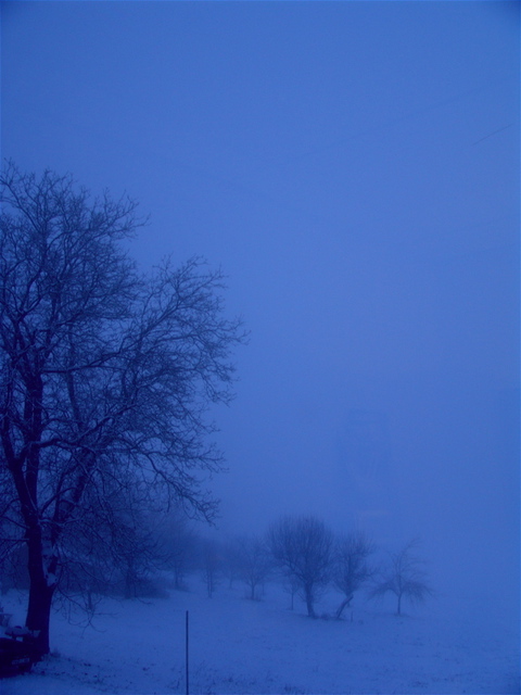 Luise Andersen  'GERMAN WINTER  Passau Area  BLUE OF WINTER ', created in 2007, Original Fiber.